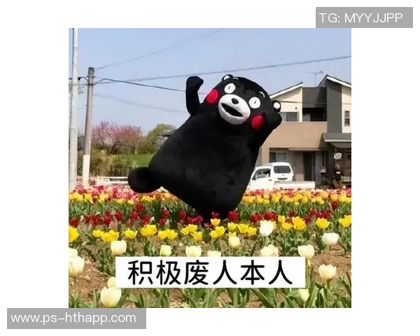 媒体人揭秘绿军逆袭真相背后曾被误解为摆烂的秘密 媒体人揭秘绿军逆袭真相背后曾被误解为摆烂的秘密